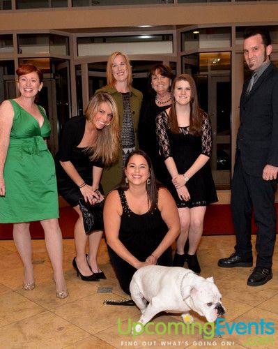 Photo from Bad Dog Ball