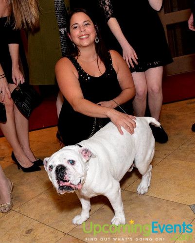 Photo from Bad Dog Ball