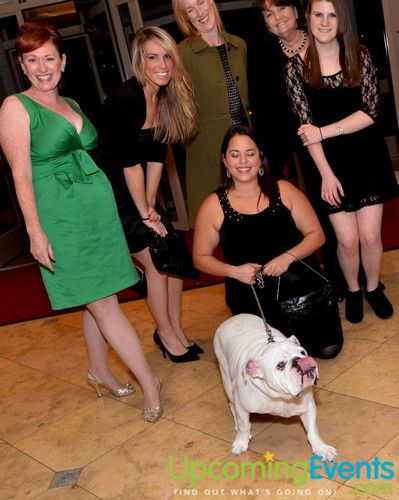 Photo from Bad Dog Ball