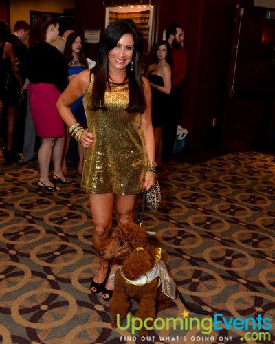 Photo from Bad Dog Ball