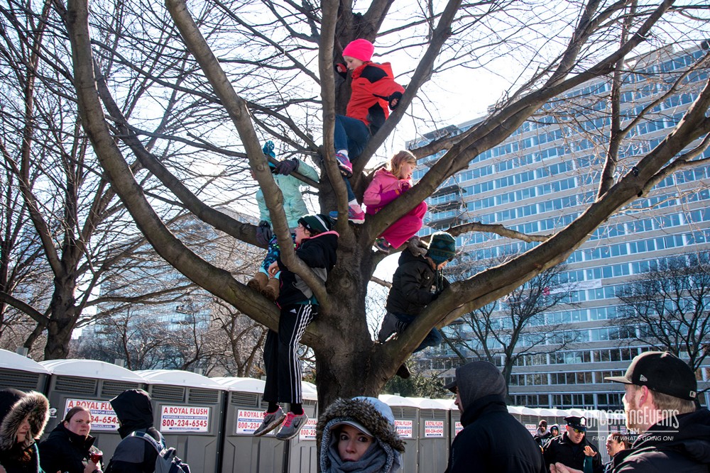 Photo from Eagles Parade Photos (Gallery 1)