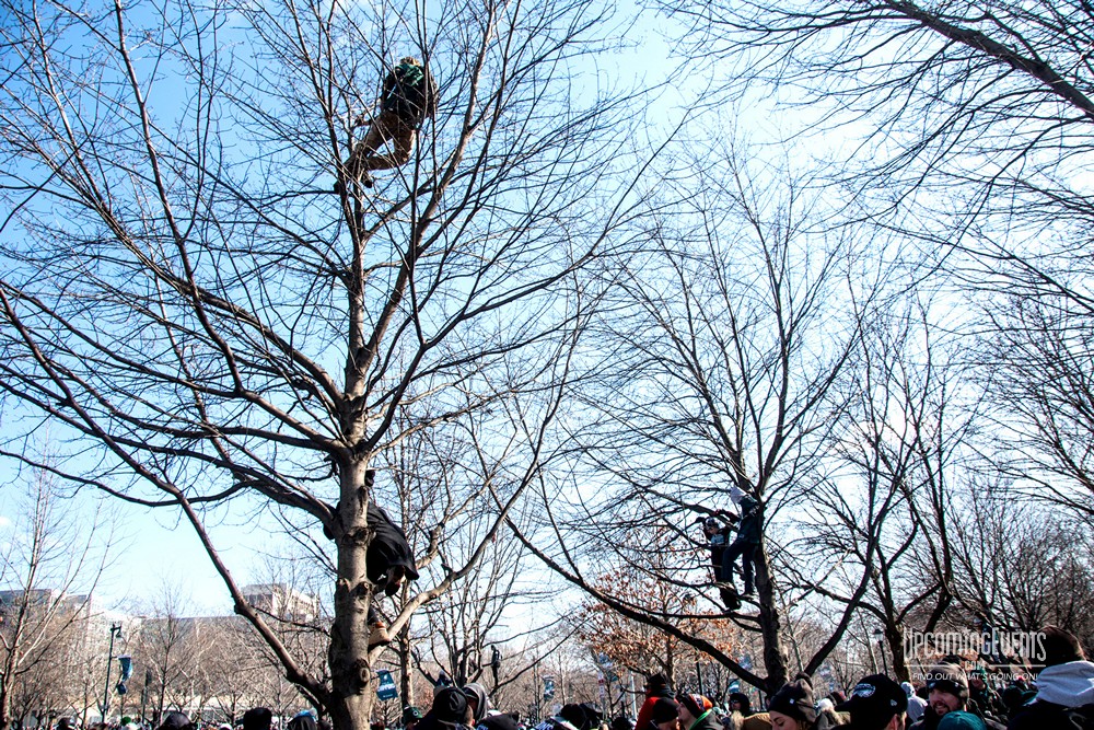 Photo from Eagles Parade Photos (Gallery 1)