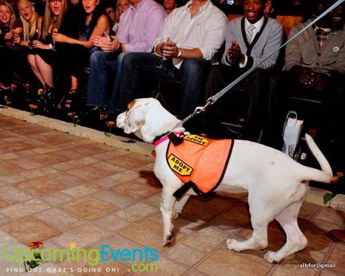 Photo from Fashion in Public (Gallery 2)