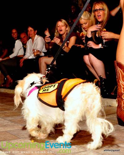 Photo from Fashion in Public (Gallery 2)
