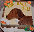 View photos for The Fur Ball