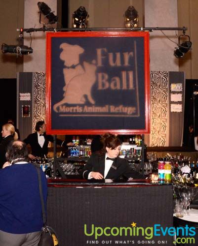 Photo from The Fur Ball