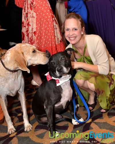 Photo from Good Dog Gala