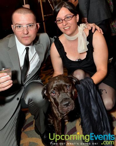 Photo from Good Dog Gala