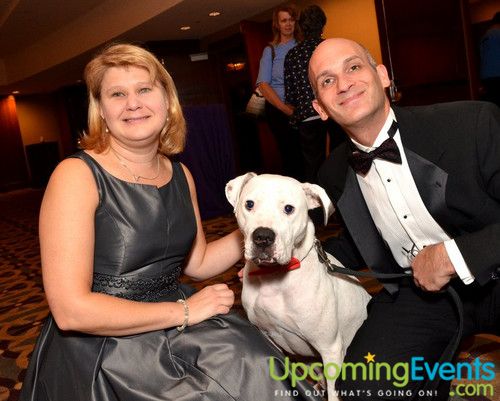 Photo from Good Dog Gala