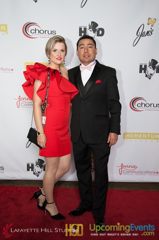 Photo from Hair O' The Dog 2017 (Red Carpet)