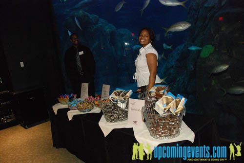 Photo from Hot Chocolate @ The Adventure Aquarium