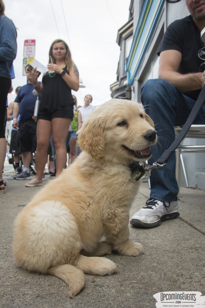 Photo from Manayunk Mac & Cheese Crawl