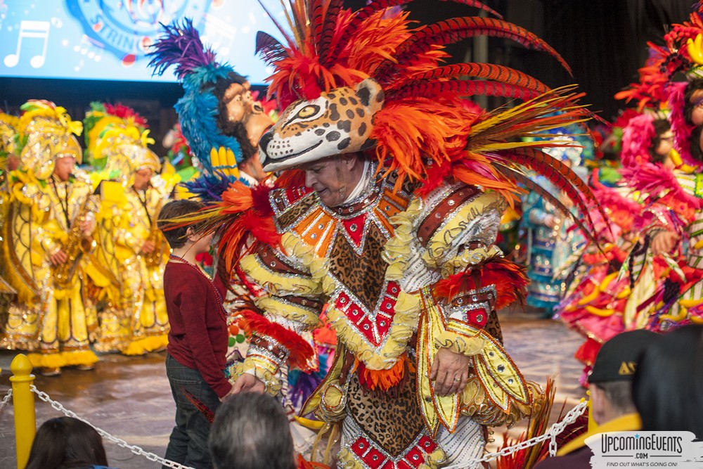 Photo from Mummers Mardi Gras Festival (Candid Gallery 1)