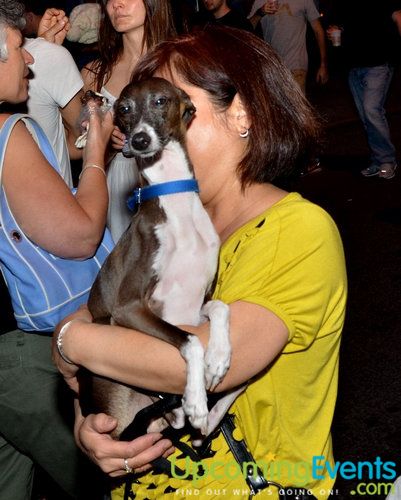 Photo from Night Market Philly - NOLIBS