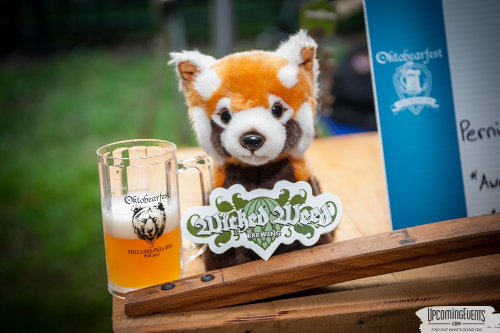 Photo from OktoBEARfest at the Philadelphia Zoo