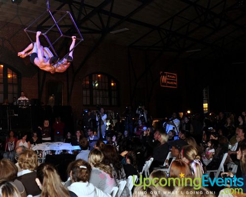 Photo from Philly Fashion Week 2010 (Thursday - Gallery 2)