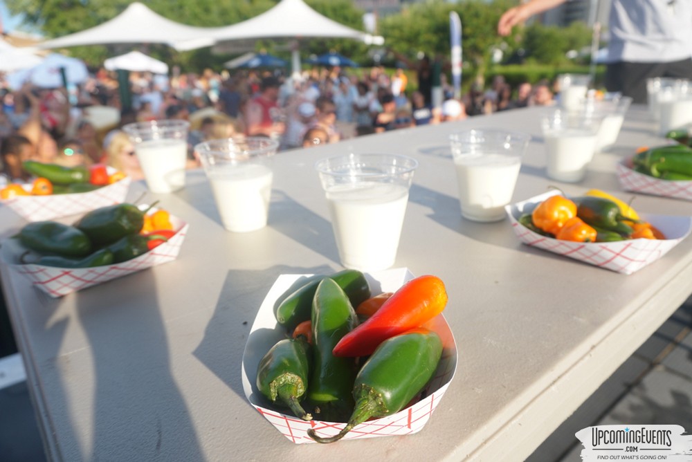 Photo from Philly Taco Festival 2019