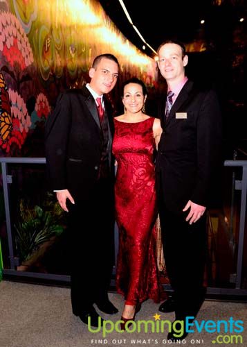 Photo from The Red Ball
