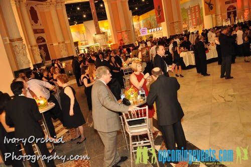 Photo from The 2009 Red Ball at The Please Touch Museum