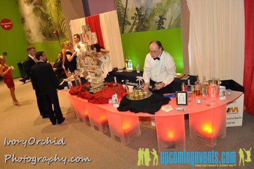 Photo from The 2009 Red Ball at The Please Touch Museum
