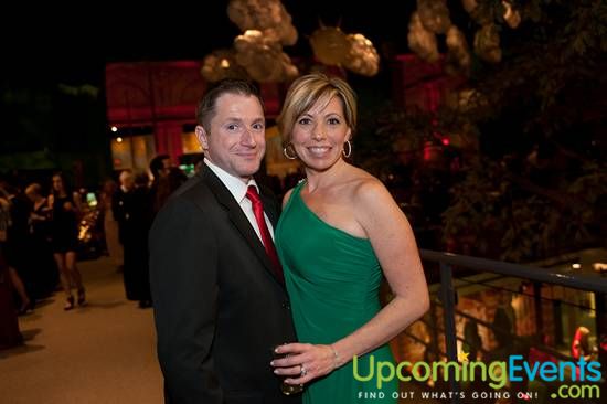 Photo from The Red Ball 2013 (Gallery A)