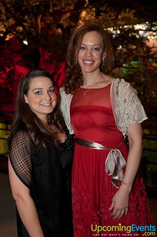 Photo from The Red Ball 2013 (Gallery A)