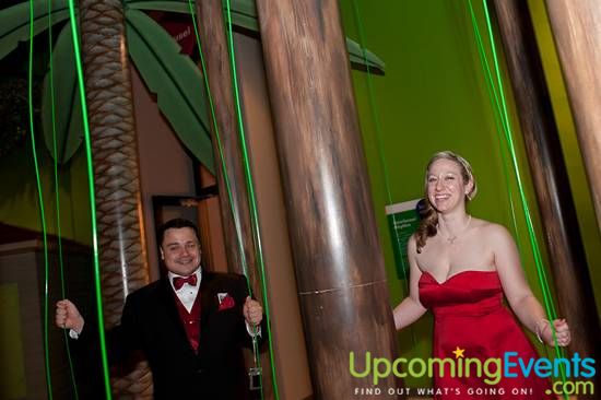 Photo from The Red Ball 2013 (Gallery A)