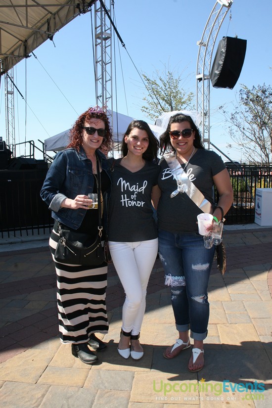 Photo from Springfest Live! Craft Beer Fest (Gallery B)