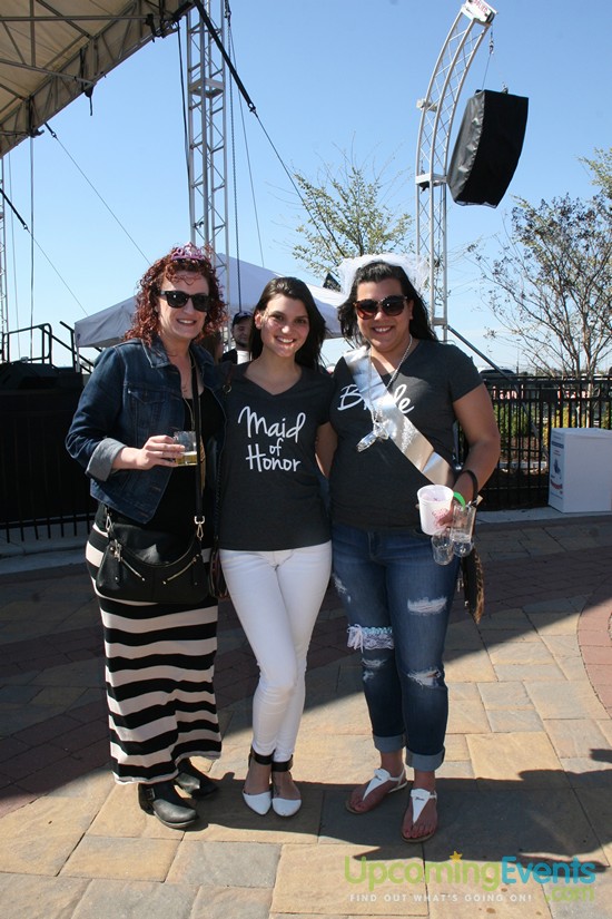 Photo from Springfest Live! Craft Beer Fest (Gallery B)