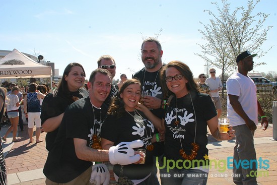 Photo from Springfest Live! Craft Beer Fest (Gallery B)