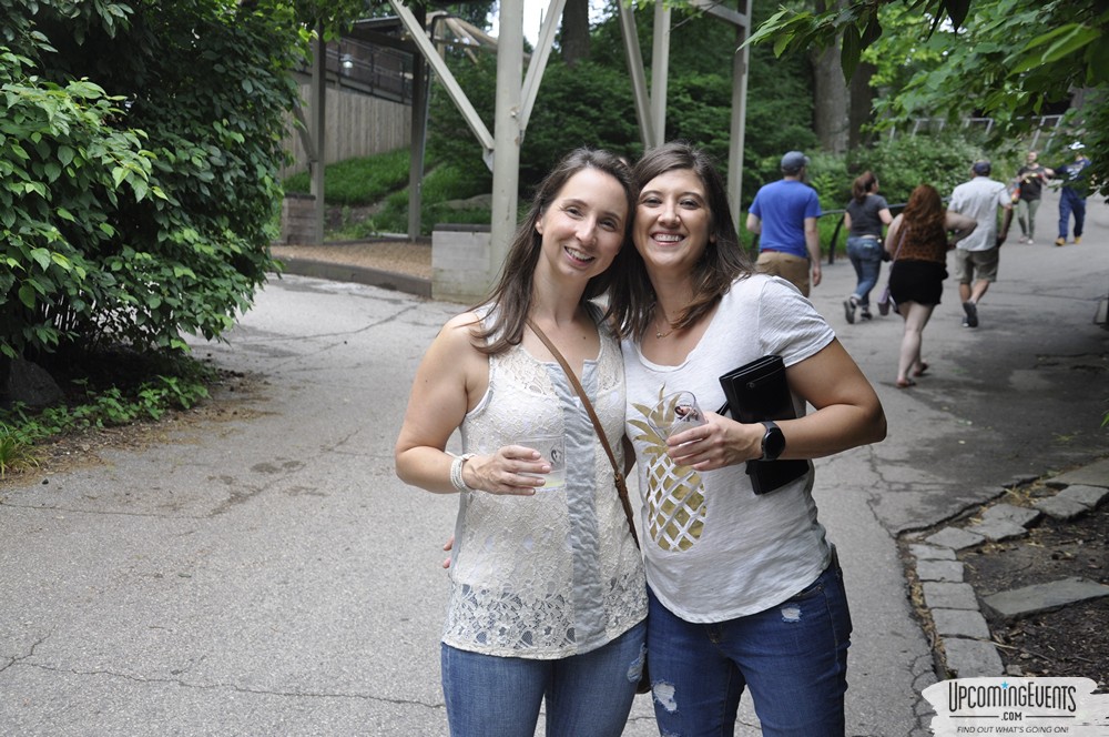 Photo from Summer Ale Festival at The Phladelphia Zoo