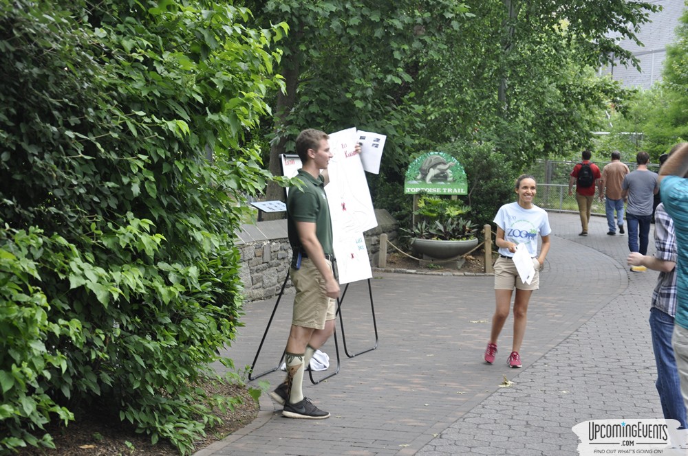 Photo from Summer Ale Festival at The Phladelphia Zoo