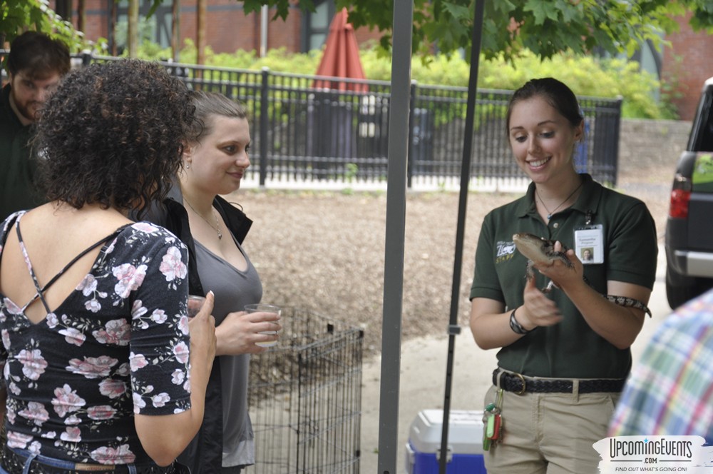 Photo from Summer Ale Festival at The Phladelphia Zoo