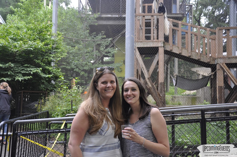 Photo from Summer Ale Festival at The Phladelphia Zoo