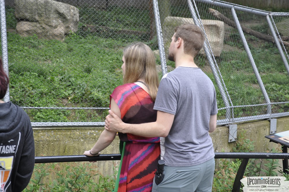 Photo from Summer Ale Festival at The Phladelphia Zoo