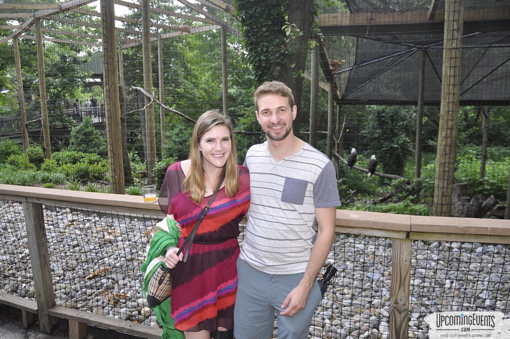 Photo from Summer Ale Festival at The Phladelphia Zoo