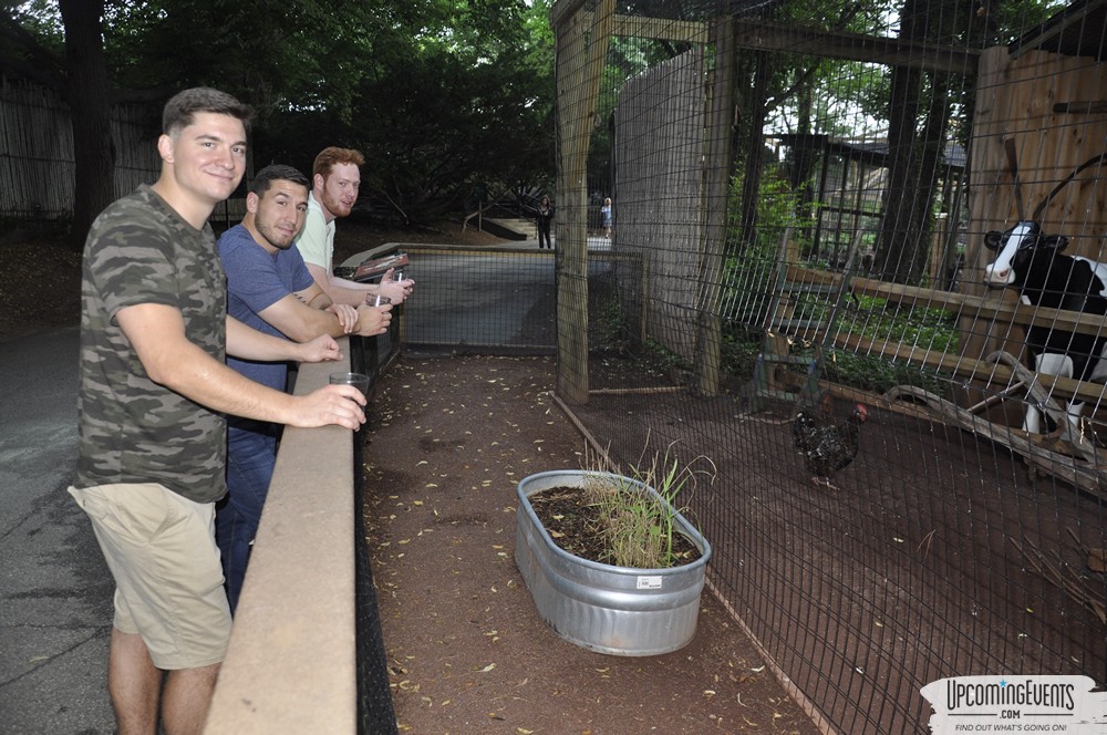 Photo from Summer Ale Festival at The Phladelphia Zoo