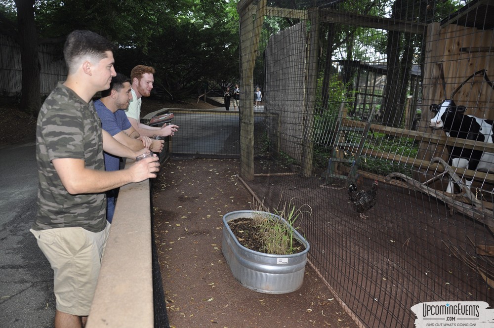 Photo from Summer Ale Festival at The Phladelphia Zoo