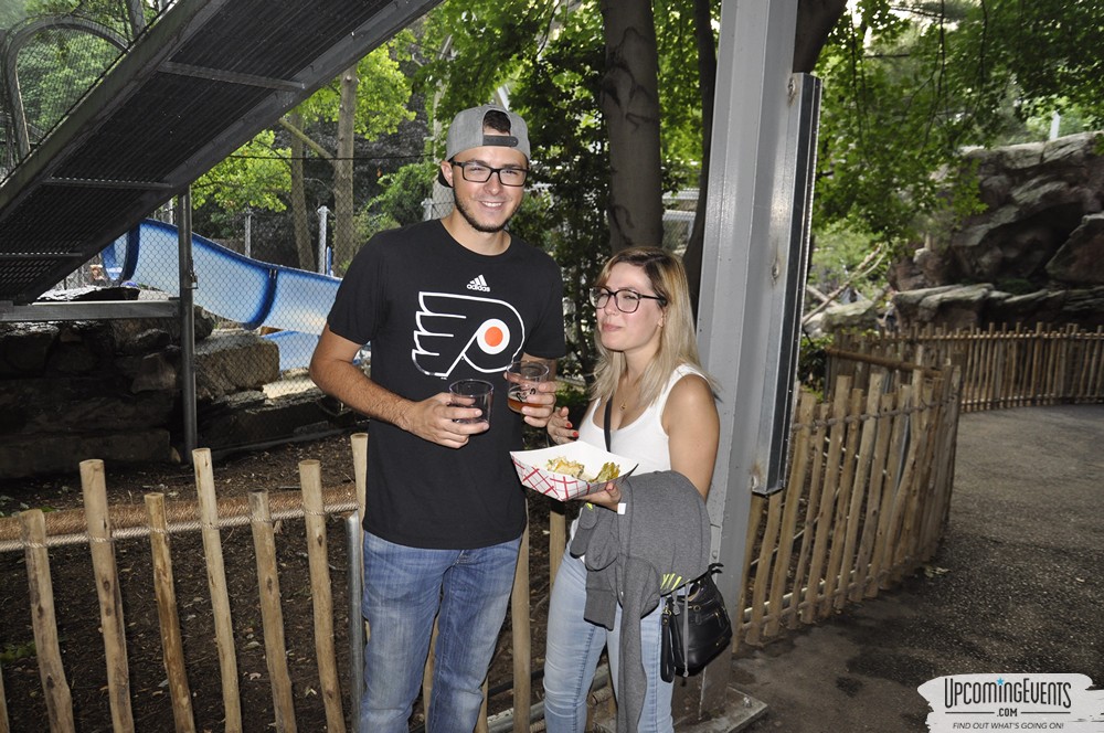 Photo from Summer Ale Festival at The Phladelphia Zoo