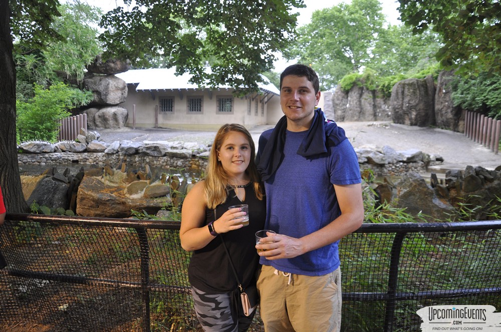 Photo from Summer Ale Festival at The Phladelphia Zoo