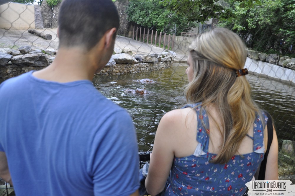 Photo from Summer Ale Festival at The Phladelphia Zoo