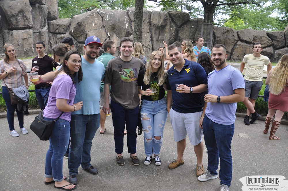 Photo from Summer Ale Festival at The Phladelphia Zoo