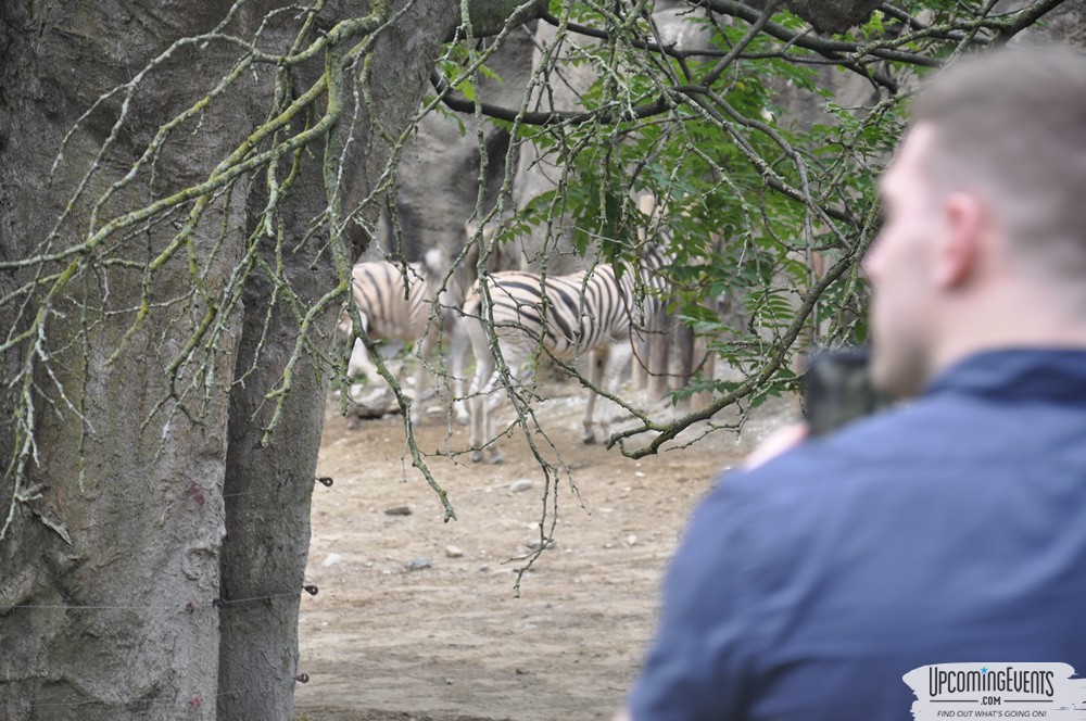 Photo from Summer Ale Festival at The Phladelphia Zoo