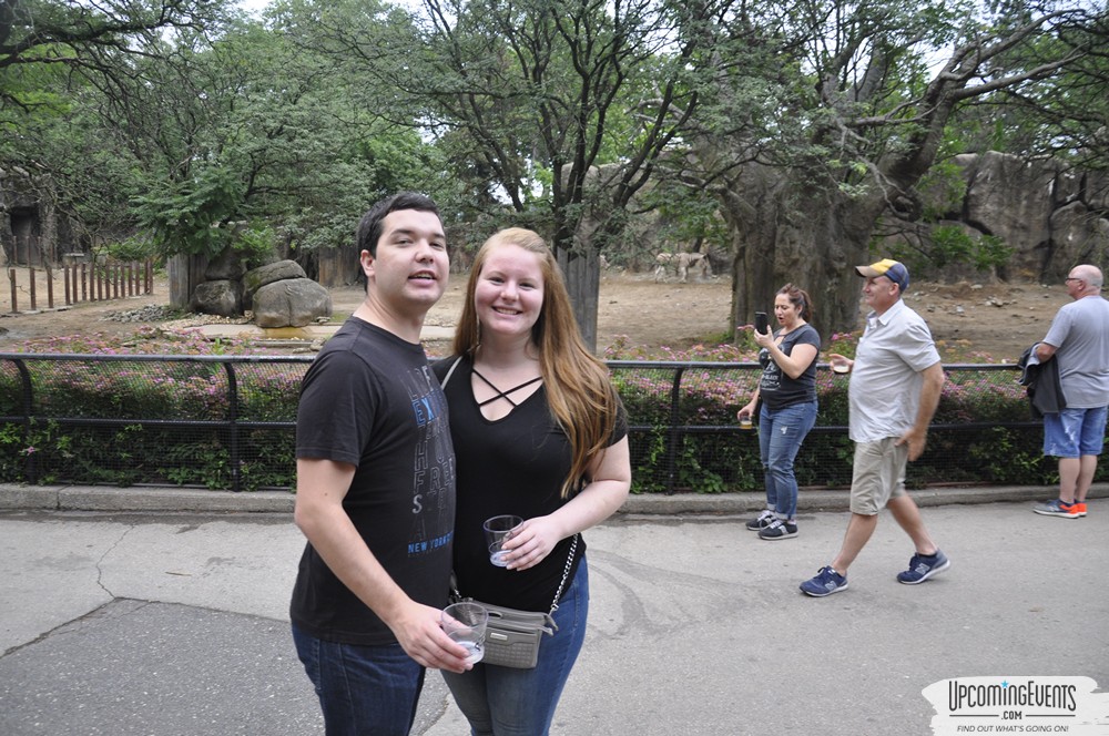 Photo from Summer Ale Festival at The Phladelphia Zoo