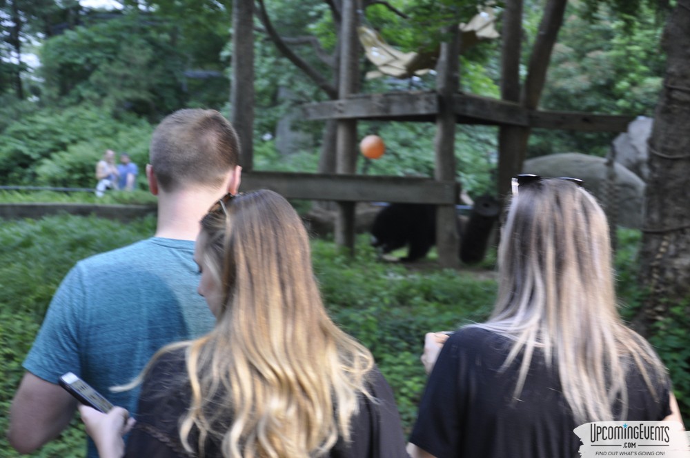 Photo from Summer Ale Festival at The Phladelphia Zoo