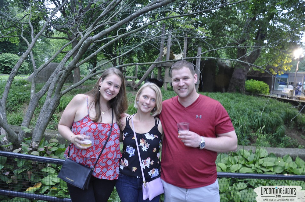 Photo from Summer Ale Festival at The Phladelphia Zoo