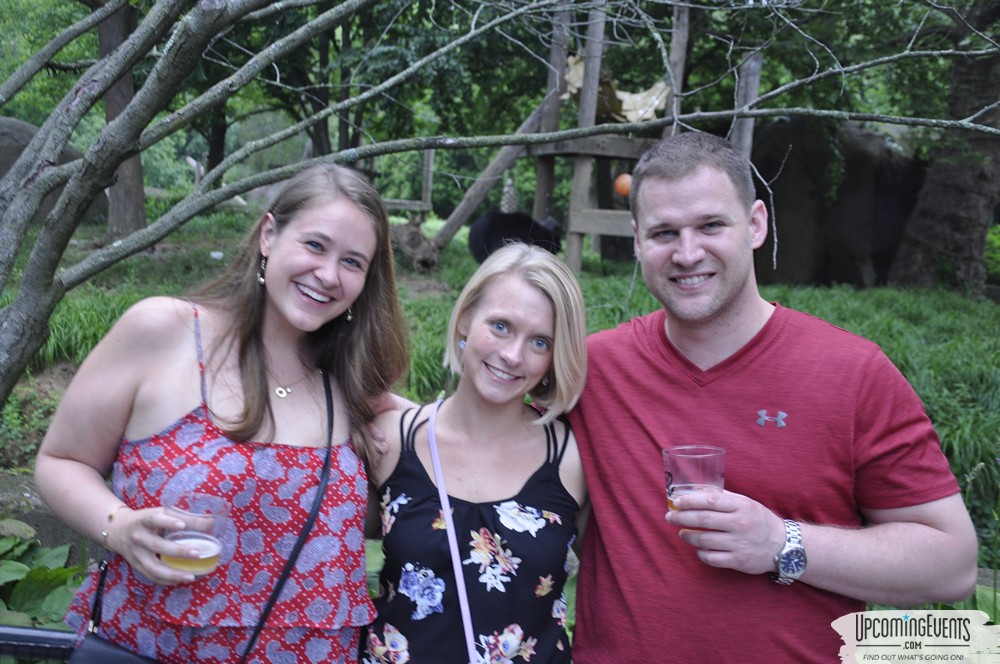 Photo from Summer Ale Festival at The Phladelphia Zoo