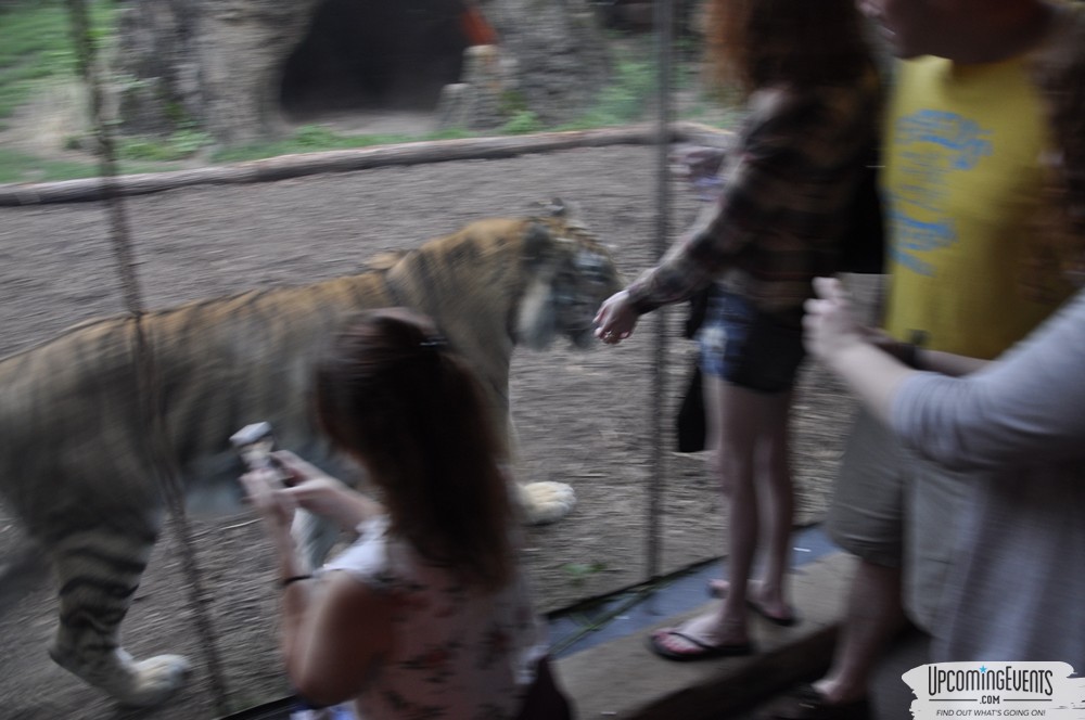 Photo from Summer Ale Festival at The Phladelphia Zoo