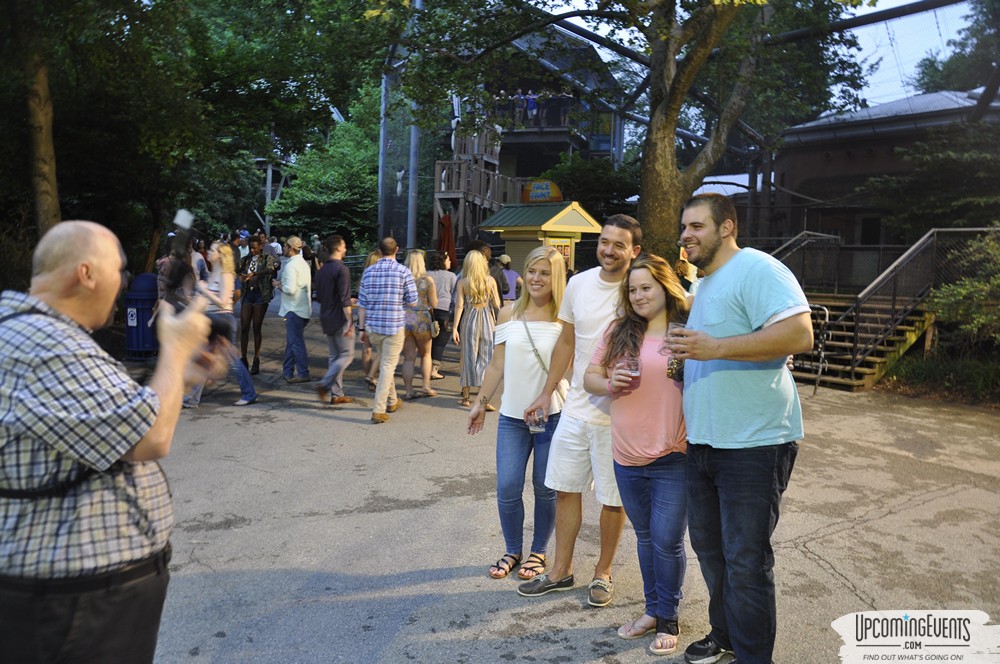 Photo from Summer Ale Festival at The Phladelphia Zoo