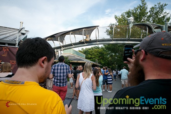 Photo from Summer Ale Festival at The Zoo!